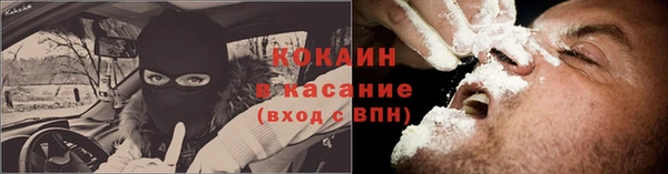 гидра Киреевск