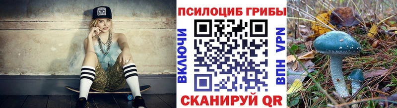 Галлюциногенные грибы Cubensis  купить закладку  Козьмодемьянск 